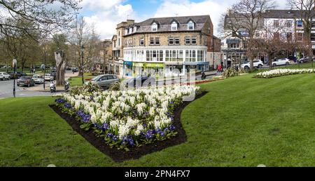 QUARTIER DE MONTPELLIER, HARROGATE, ROYAUME-UNI - 15 AVRIL 2023. Expositions florales de lit de fleur coloré dans des jardins paysagers dans le Harrogate à Bloom Springtim Banque D'Images