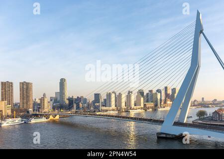 Pont suspendu d'Erarmusbrug et Stadsdriehoek au lever du soleil au-dessus de la rivière Nieuwe Mass, Rotterdam, province de la Hollande-Sud, Royaume des pays-Bas Banque D'Images