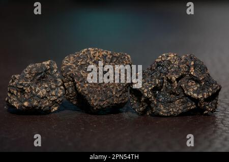 Animaux sauvages frais noir truffe champignons gros plan tuber taille grande instantanés imprimés photographie botanique stock Banque D'Images