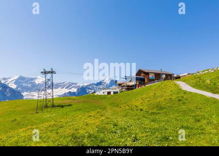 Vue sur la télécabine de Grindelwald-First et sur l'Eiger, région de Jungfrau, dans les Alpes bernoises de l'Oberland, Suisse en été Banque D'Images