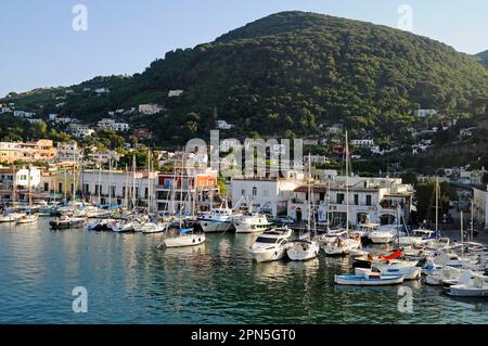 Ischia Porto, Port, Île d'Ischia, Golfe de Naples, Campanie, Italie Banque D'Images