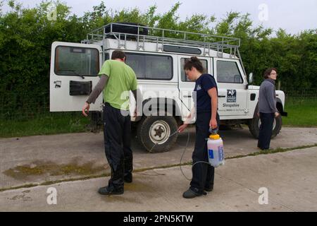 Schéma de vaccination contre la tuberculose bovine par le blaireau eurasien (Meles meles), personnel de Wildlife Trust pulvérisé de désinfectant, Shropshire, Angleterre Banque D'Images