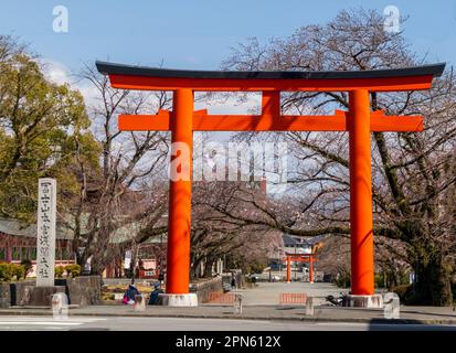 Fujinomiya-ville, Japon - 22 mars 2023: Les gens appréciant les fleurs de Sakura dans le temple de Fujisan Hongu Sengen Taisha. Banque D'Images