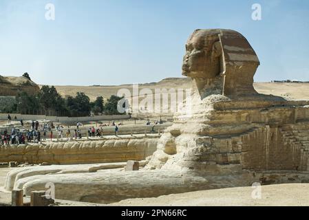 Le Grand Sphinx dans le plateau de Giza près du Caire. Égypte. Banque D'Images