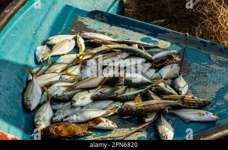 Pont Yayasan Sabah Likas Bay Kota Kinabalu Sabah Borneo Malaisie achat et vente de poisson Banque D'Images