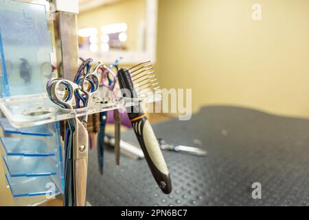 Outils de toilettage pour chiens et chats sur un stand dans le salon pour animaux de compagnie. Espace pour le texte Banque D'Images