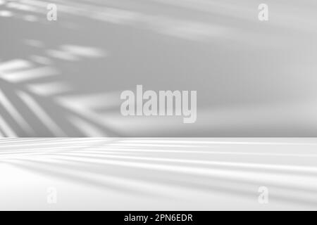 Maquette d'arrière-plan abstraite de couleur blanche minimale pour la présentation du produit. Espace d'affichage blanc vide avec ombres des feuilles de palmier. 3d rendu. Banque D'Images