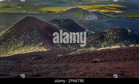 Cratères et champ de lave sur la pente de l'Etna. Parc national de l'Etna, Sicile, Italie, Europe Banque D'Images