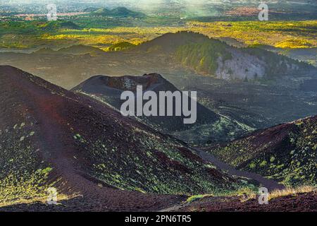 Cratères et champ de lave sur la pente de l'Etna. Parc national de l'Etna, Sicile, Italie, Europe Banque D'Images