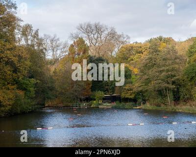 Hampstead Heath Ponds le 16th novembre 2022 à Londres, Angleterre. Crédit : nouvelles SMP Banque D'Images