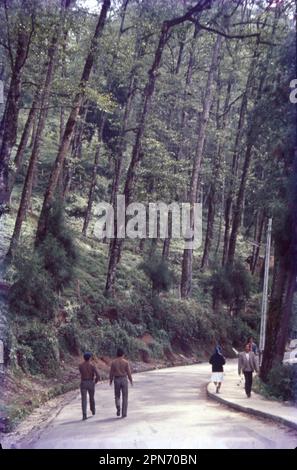 Gangtok est la capitale de l'état montagneux indien du nord de Sikkim. Banque D'Images