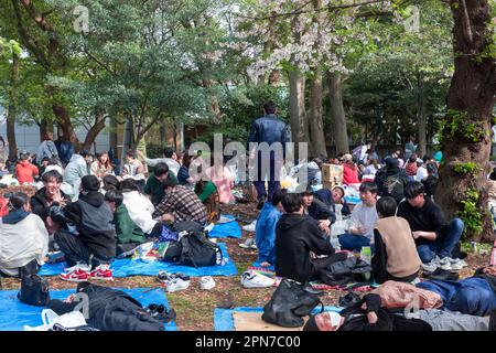 Japon avril 2023, les Japonais se rencontrent et pique-niquent sous les cerisiers en fleurs du parc Ueno Tokyo, le parc a été fondé en 1873 Banque D'Images