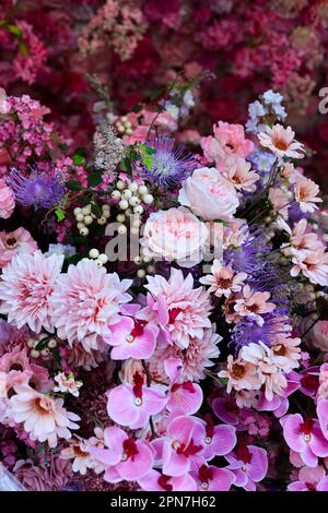 gros plan de l'assortiment de fleurs roses et violettes Banque D'Images