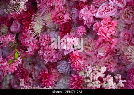 gros plan de l'assortiment de fleurs roses et violettes Banque D'Images