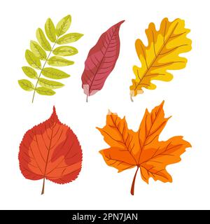 Feuilles d'automne Illustration de Vecteur