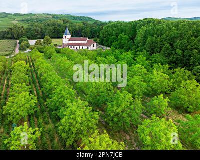 Paysage aux arbres fruitiers et église romane Dompeter, Avolsheim, Alsace, France Banque D'Images