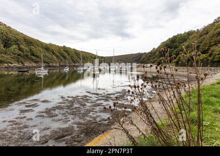 Village du port de Solva, sur la baie de St brides, Pembrokeshire, pays de Galles, solva,village,solva wales,solva quay,solva Harbour,St brides Bay,solva pembrokeshire, Banque D'Images