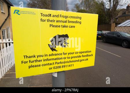 Panneau d'avertissement / signalisation pour avertir les gens de prendre soin au croisement de la route de grenouille et de crapaud à Ham, quartier de Londres de Richmond-upon-Thames. ROYAUME-UNI (134) Banque D'Images