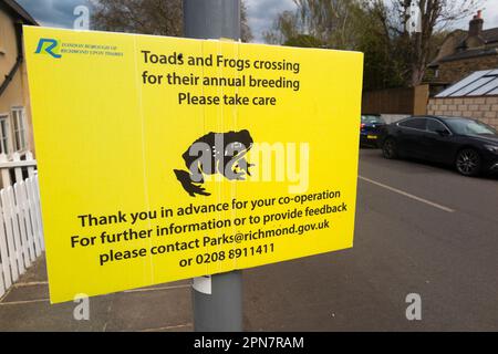 Panneau d'avertissement / signalisation pour avertir les gens de prendre soin au croisement de la route de grenouille et de crapaud à Ham, quartier de Londres de Richmond-upon-Thames. ROYAUME-UNI (134) Banque D'Images