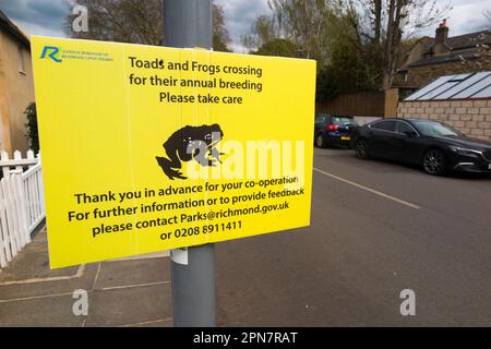 Panneau d'avertissement / signalisation pour avertir les gens de prendre soin au croisement de la route de grenouille et de crapaud à Ham, quartier de Londres de Richmond-upon-Thames. ROYAUME-UNI (134) Banque D'Images