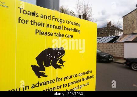 Panneau d'avertissement / signalisation pour avertir les gens de prendre soin au croisement de la route de grenouille et de crapaud à Ham, quartier de Londres de Richmond-upon-Thames. ROYAUME-UNI (134) Banque D'Images