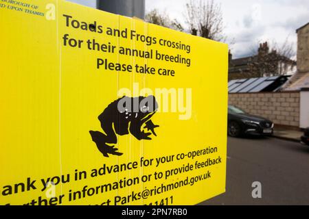 Panneau d'avertissement / signalisation pour avertir les gens de prendre soin au croisement de la route de grenouille et de crapaud à Ham, quartier de Londres de Richmond-upon-Thames. ROYAUME-UNI (134) Banque D'Images