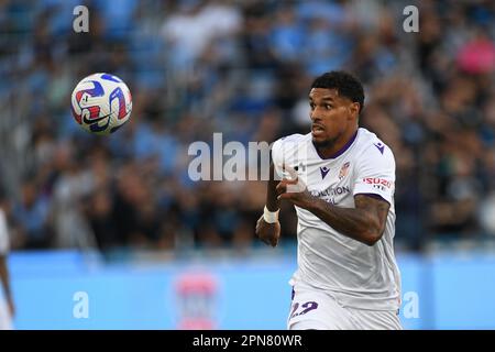 Sydney, Nouvelle-Galles du Sud, Australie. 16th avril 2023. 16 avril 2023, Sydney Australie, Darryl Lachman en action lors D'Un match semi-final de la ligue au stade Allianz, Sydney, Australie (Credit image: © Danish Ravi/ZUMA Press Wire) USAGE ÉDITORIAL EXCLUSIF ! Non destiné À un usage commercial ! Banque D'Images