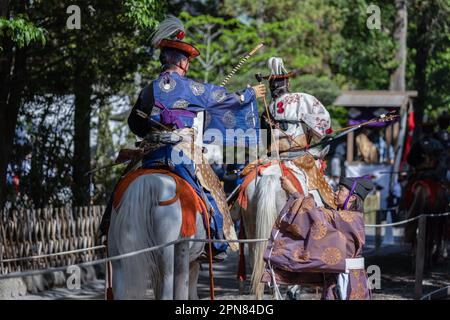 Yabusame (tir à l'arc à cheval japonais) officiel de tournoi retourne une flèche aux archers après la fin du premier tour de compétition. Pour la première fois après 4 ans, le Festival de Kamakura revient, et avec lui, le tournoi de Yabusame (tir à l'arc à cheval japonais). Yabusame est un événement sportif dont les origines remontent à 300 av. J.-C. (période Jomon). D'abord à pied, puis à partir du 4th siècle, les concurrents ont commencé à utiliser des chevaux. À l'origine, les archers allaient tirer des flèches dans des duels l'un à l'autre. Aujourd'hui, des cibles sont utilisées. Banque D'Images