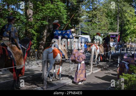 Yabusame (tir à l'arc à cheval japonais) officiel de tournoi retourne une flèche aux archers après la fin du premier tour de compétition. Pour la première fois après 4 ans, le Festival de Kamakura revient, et avec lui, le tournoi de Yabusame (tir à l'arc à cheval japonais). Yabusame est un événement sportif dont les origines remontent à 300 av. J.-C. (période Jomon). D'abord à pied, puis à partir du 4th siècle, les concurrents ont commencé à utiliser des chevaux. À l'origine, les archers allaient tirer des flèches dans des duels l'un à l'autre. Aujourd'hui, des cibles sont utilisées. Banque D'Images