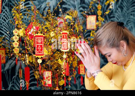 Nouvel an lunaire chinois. Arbre jaune décoré pour la fête de la Tet vietnamienne. Le Tet : célébration du nouvel an vietnamien. Femme asiatique priant en jaune Banque D'Images