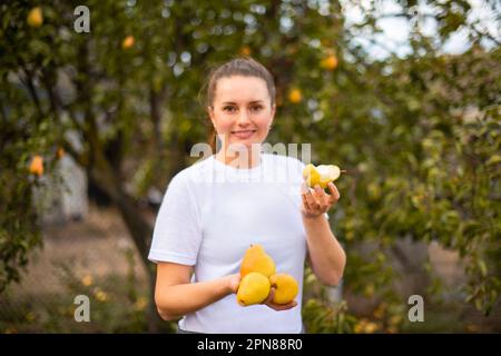 une agricultrice expérimentée récolte des poires sur sa propre petite ferme écologique. Femme en T-shirt blanc maquette mange des poires fraîches de l'arbre Banque D'Images
