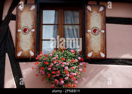 Maisons traditionnelles colorées à colombages d'Alsace dans le village de Riquewihr. Alsace. France. Banque D'Images
