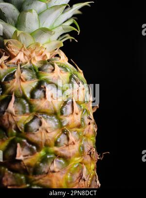 Vue rapprochée d'une partie d'un ananas mûr où la rosette de feuilles entre dans le fruit Banque D'Images