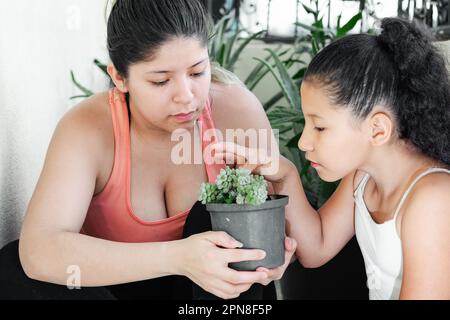 jeune mère latina avec sa jeune fille regardant l'usine de jardin Banque D'Images