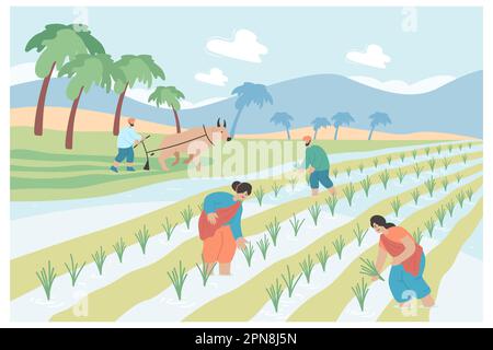 Agriculteurs indiens travaillant dans le rizières rural Illustration de Vecteur