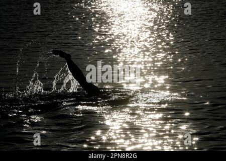 Respiration du nageur pendant la nage dans la mer au coucher du soleil. Îles Caïmans. Banque D'Images