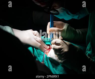 Gros plan des mains d'un chirurgien qui fait une incision dans la peau d'un patient. Scalpel stérile, aspirateur et gants stériles sur un champ stérile vert. Banque D'Images