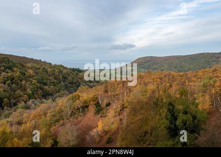 Photo de paysage les couleurs d'automne à Horner Woods dans le parc national d'Exmoor Banque D'Images