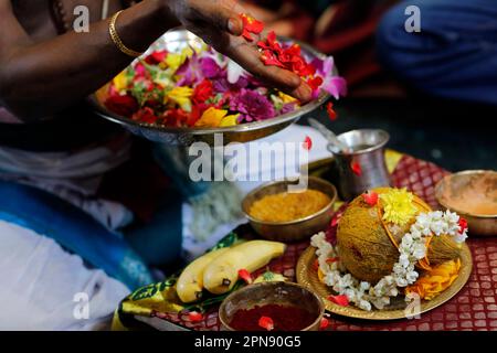 Temple hindou Sri Krishnan. Prêtre hindou ( Brahmin ) exécutant la cérémonie et les rituels de puja. Singapour. Banque D'Images