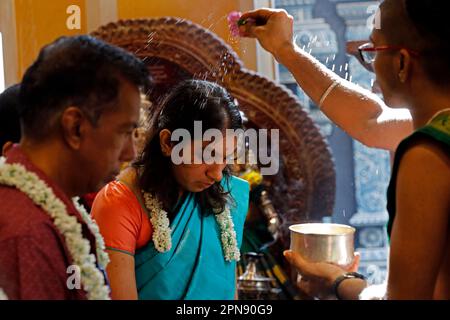 Temple hindou Sri Krishnan. Prêtre hindou ( Brahmin ) exécutant la cérémonie et les rituels de puja. Singapour. Banque D'Images