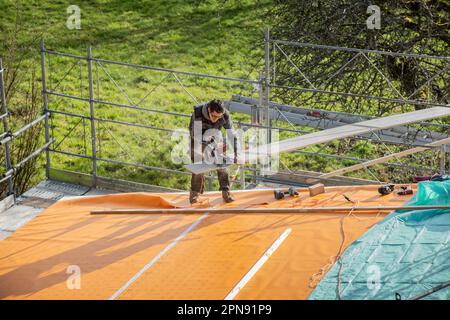 De jeunes charpentiers coupent avec moteur a vu une planche en bois sur le dessus d'un toit. Banque D'Images