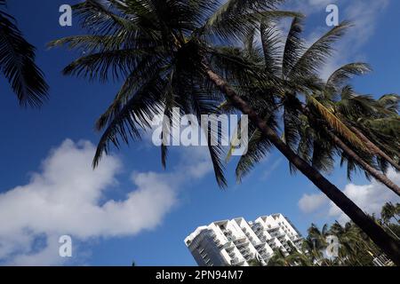 Miami Beach Florida, Collins Park. Miami, Floride, États-Unis. Banque D'Images