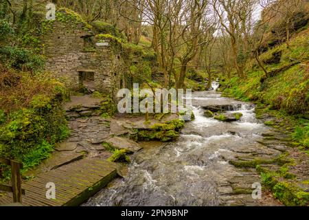 Le moulin de Thewethet, dans la vallée des Rocheuses, près de Tintagel Cornwall Banque D'Images