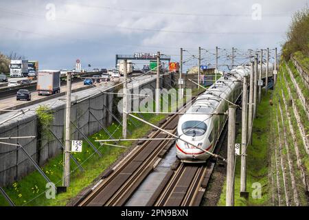 Autoroute A3 près de Flörsheim, avant la jonction de l'autoroute Mönchhof, rétrécissement des voies en raison d'un site de travaux routiers, ligne DE TRAIN ICE, ICE sur la route de F Banque D'Images