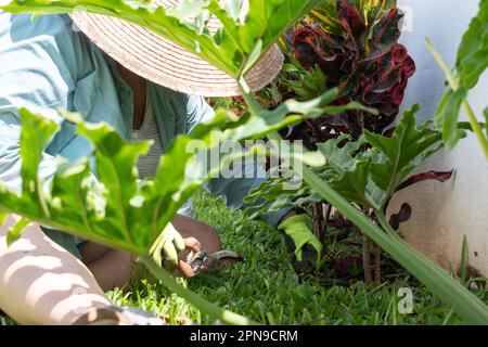 Femme vêtue d'une chemise à manches longues, d'un chapeau et de gants, enlève les mauvaises herbes du jardin de sa maison. Banque D'Images
