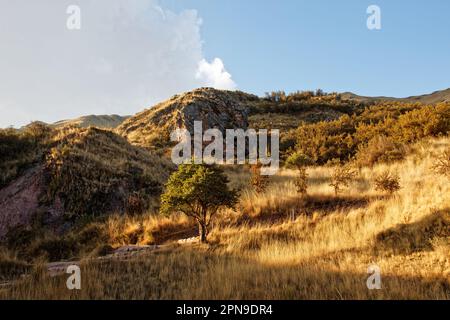 La lumière du soleil couchant sur une colline près de Tambomachay, département de Cusco, Pérou Banque D'Images