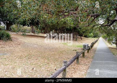 Trottoir dans le President ave à côté du Rockdale Bicentennial Park à Sydney. Banque D'Images