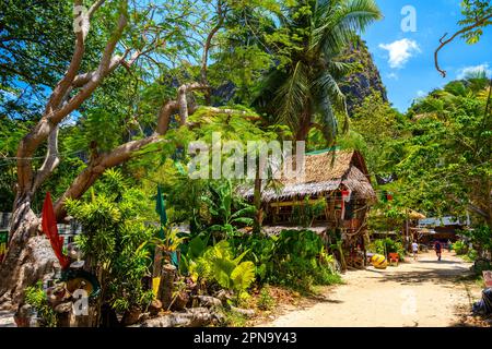 Maisons et différents palmiers dans le village sur la plage de Railay à l'ouest, Ao Nang, Krabi, Thaïlande. Banque D'Images