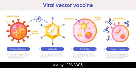 Vaccin à vecteur viral Illustration de Vecteur