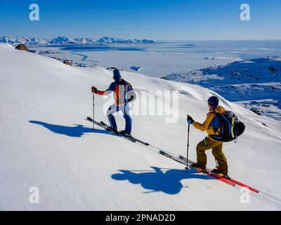 Ski alpiniste sur le ski, pack glace, Tasiilaq, Ammassalik Island, Kommuneqarfik Sermersoq, Groenland oriental, Groenland Banque D'Images